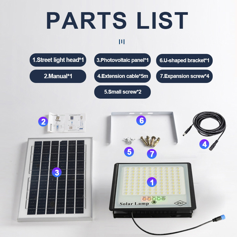 Solar Powered Flood light