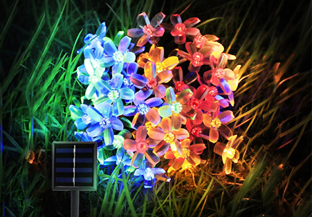 Shop for Solar Fairy String Lights Online Easily